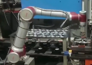 顯揚科技亮相央視直播間