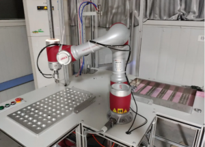 顯揚科技亮相央視直播間