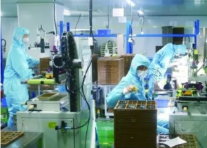 顯揚科技亮相央視直播間